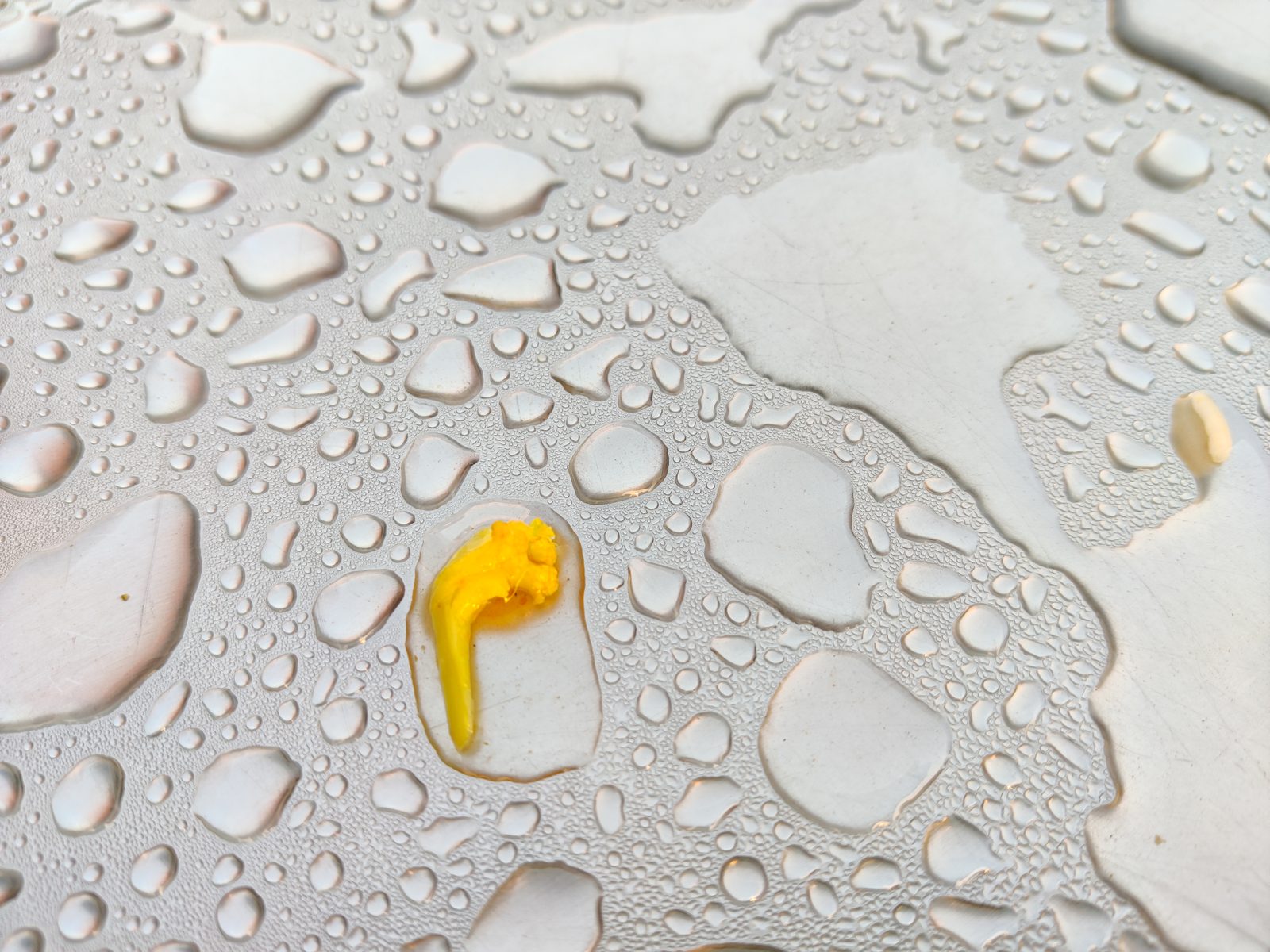布滿水珠的表面上放著一顆助聽器